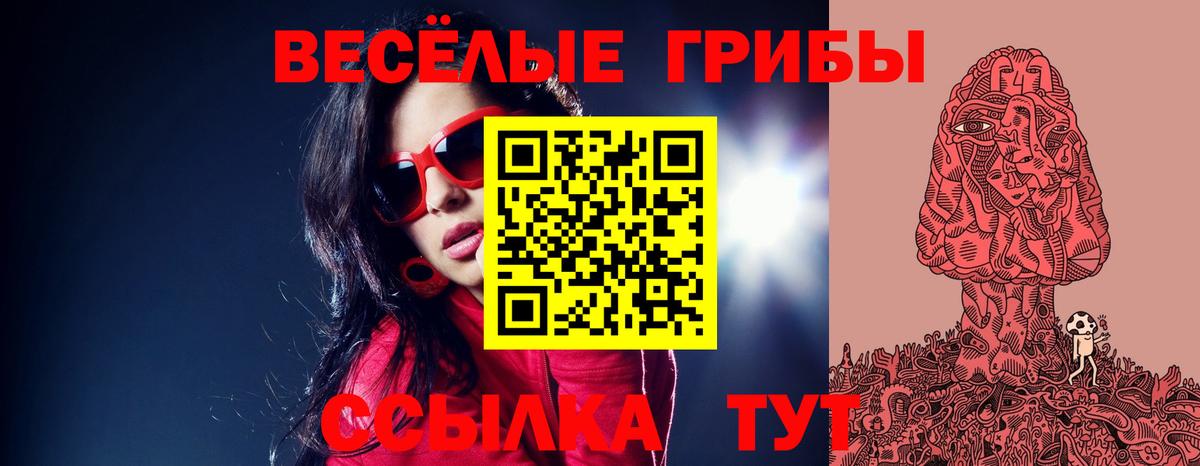 Галлюциногенные грибы Psilocybe  Псилоцибиновые грибы GOLDEN TEACHER  Вход с VPN  Троицк 